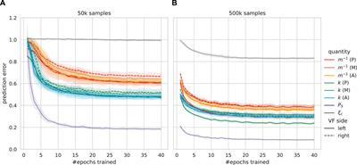 Neural network-based estimation of biomechanical vocal fold parameters